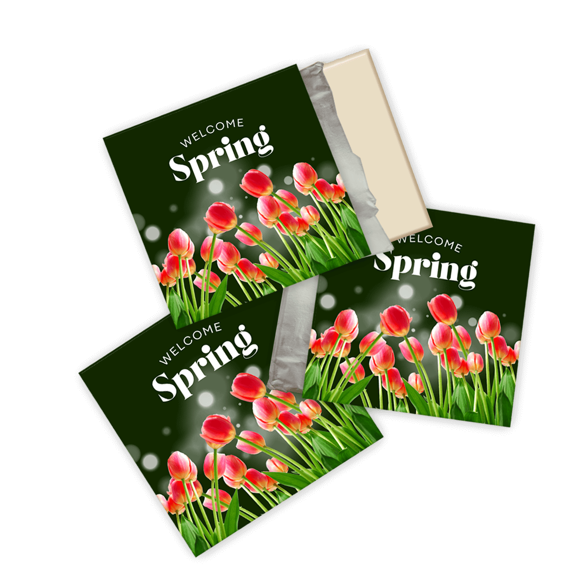 Choco Spring Spring Day Chocolate Squares – Exquisite Seasonal Chocolates